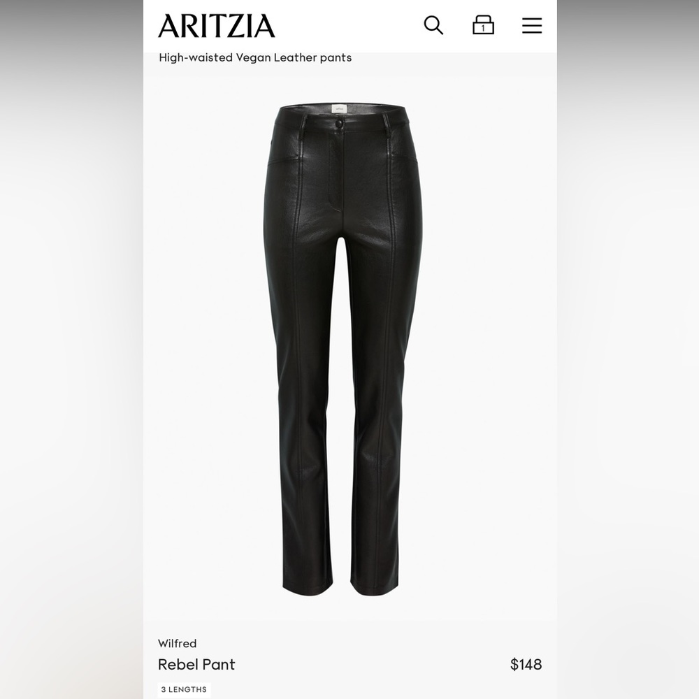 Aritzia Leather Pants